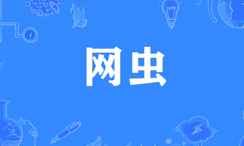 网虫是什么意思