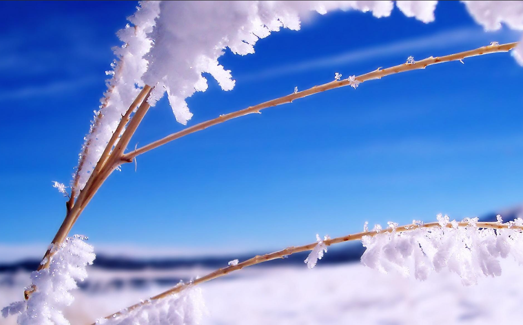 雪上加霜是什么意思解释