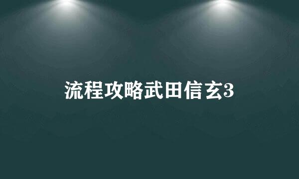 流程攻略武田信玄3