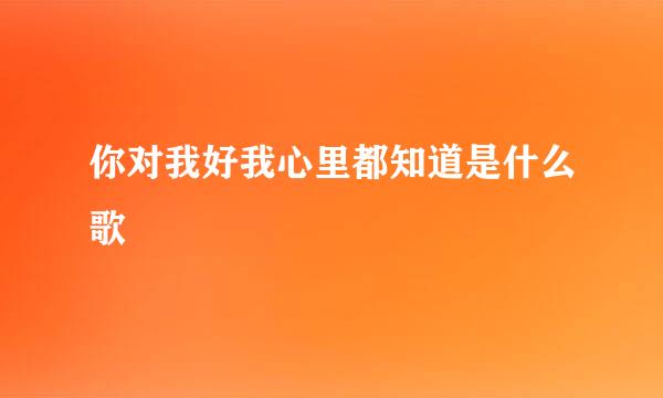 你对我好我心里都知道是什么歌