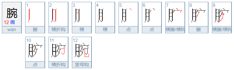 腕组词组