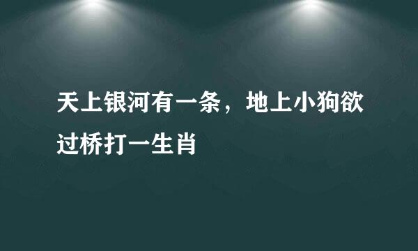 天上银河有一条，地上小狗欲过桥打一生肖