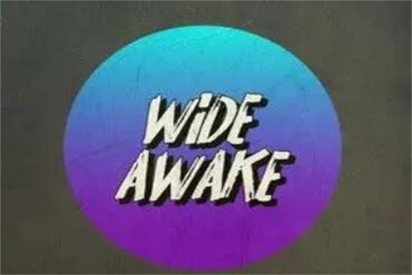 wide awake是什么意思