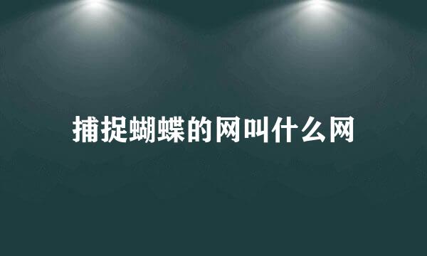 捕捉蝴蝶的网叫什么网