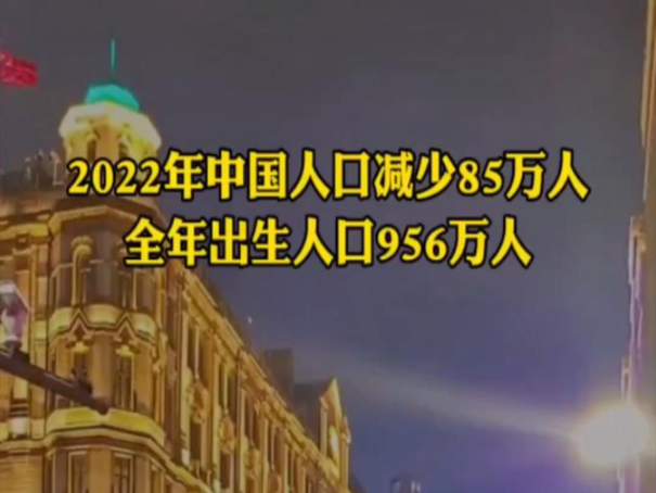 2022年新生儿出生人口数量