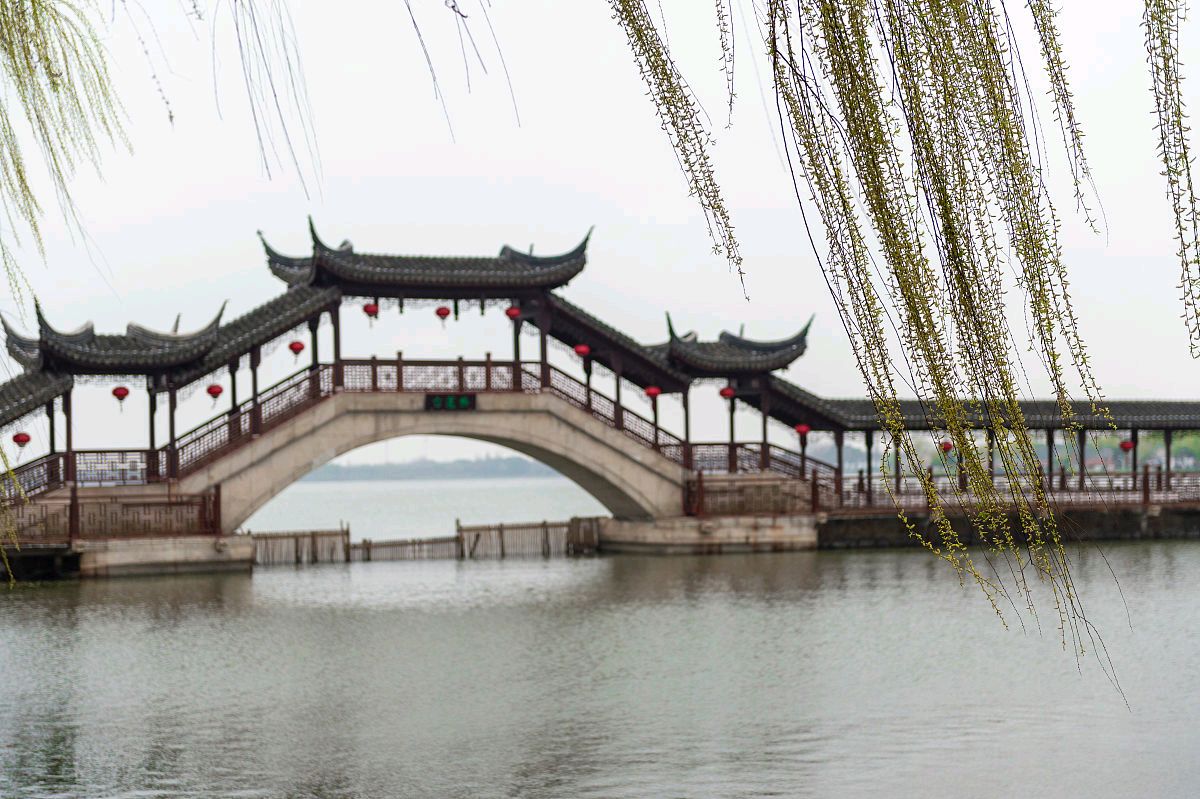 泪眼问花花不语,落红飞过千秋去.这句话是什么意思