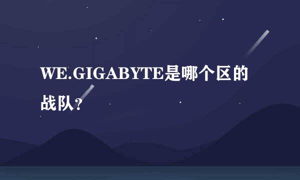 WE.GIGABYTE是哪个区的战队？