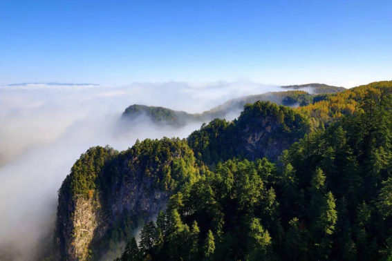 平明送客楚山孤全诗