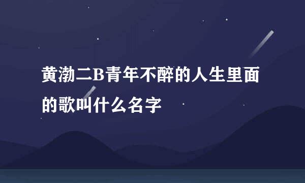 黄渤二B青年不醉的人生里面的歌叫什么名字