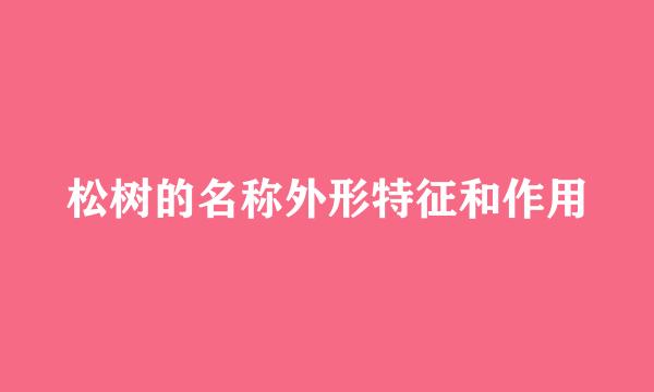 松树的名称外形特征和作用