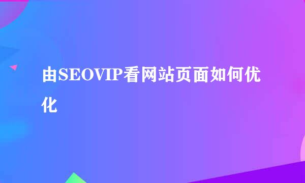 由SEOVIP看网站页面如何优化