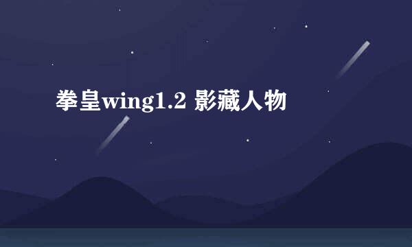 拳皇wing1.2 影藏人物