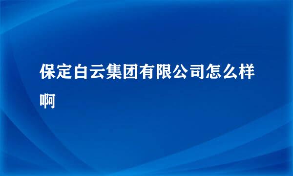 保定白云集团有限公司怎么样啊