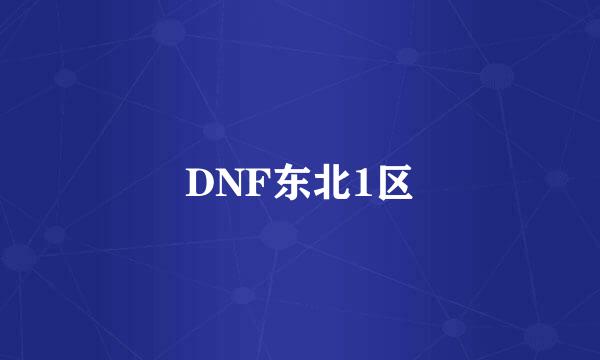 DNF东北1区