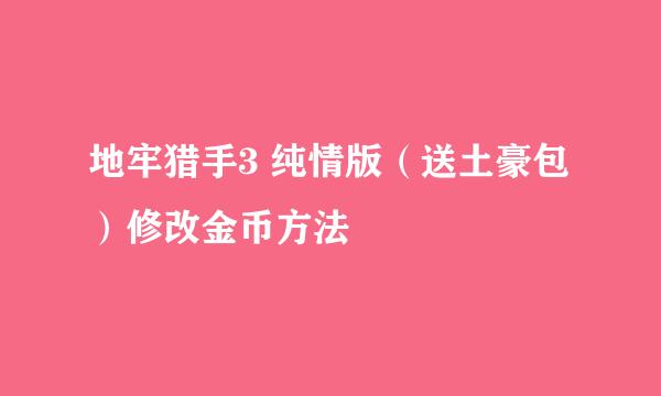 地牢猎手3 纯情版（送土豪包）修改金币方法