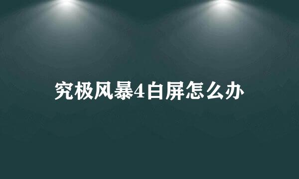 究极风暴4白屏怎么办