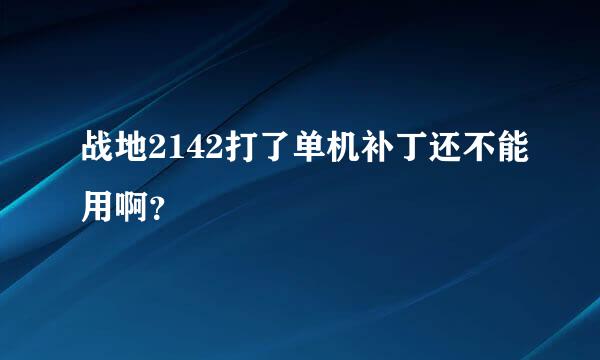 战地2142打了单机补丁还不能用啊？