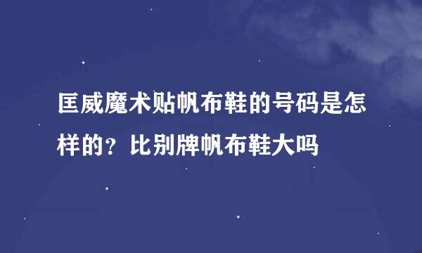 匡威魔术贴帆布鞋的号码是怎样的？比别牌帆布鞋大吗