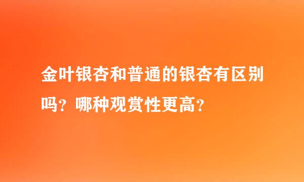 金叶银杏和普通的银杏有区别吗？哪种观赏性更高？