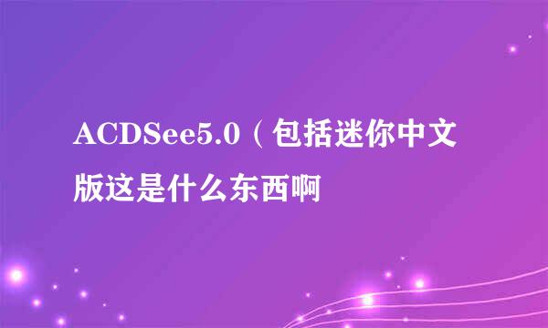 ACDSee5.0（包括迷你中文版这是什么东西啊