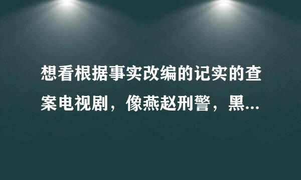 想看根据事实改编的记实的查案电视剧，像燕赵刑警，黑白大搏斗，中国刑侦一号案