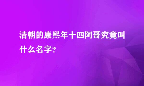 清朝的康熙年十四阿哥究竟叫什么名字？