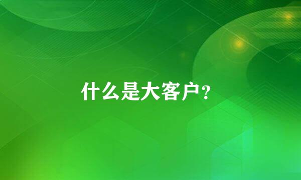 什么是大客户？