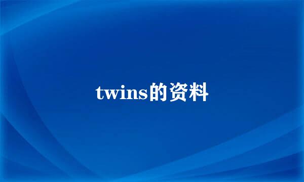 twins的资料