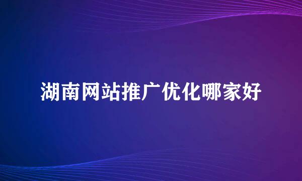 湖南网站推广优化哪家好