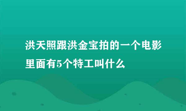 洪天照跟洪金宝拍的一个电影里面有5个特工叫什么