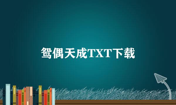 鸳偶天成TXT下载