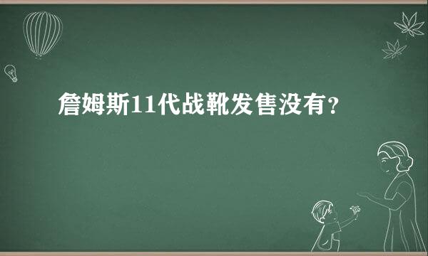 詹姆斯11代战靴发售没有？