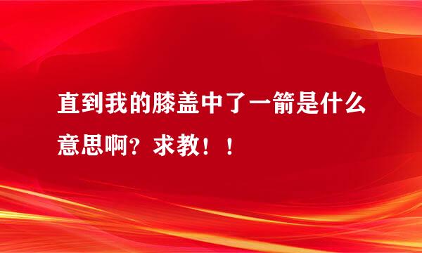 直到我的膝盖中了一箭是什么意思啊？求教！！