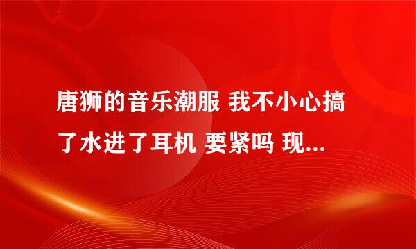 唐狮的音乐潮服 我不小心搞了水进了耳机 要紧吗 现在那只耳机听不了歌了 怎么办？洗怎么办？