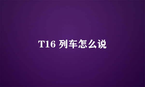 T16 列车怎么说