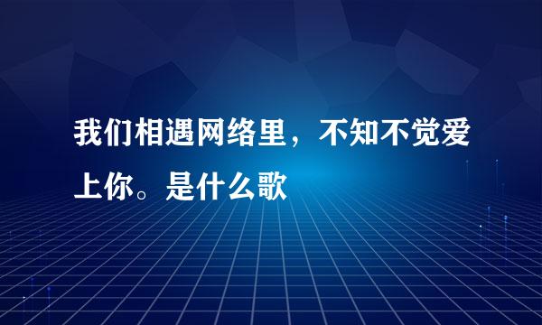 我们相遇网络里，不知不觉爱上你。是什么歌