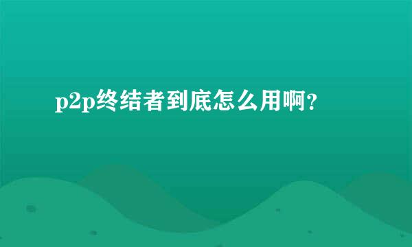 p2p终结者到底怎么用啊？