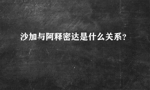 沙加与阿释密达是什么关系？