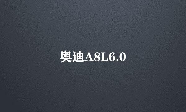 奥迪A8L6.0