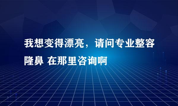 我想变得漂亮，请问专业整容隆鼻 在那里咨询啊