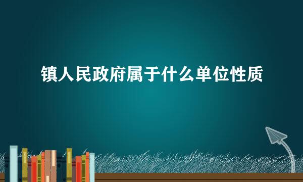 镇人民政府属于什么单位性质