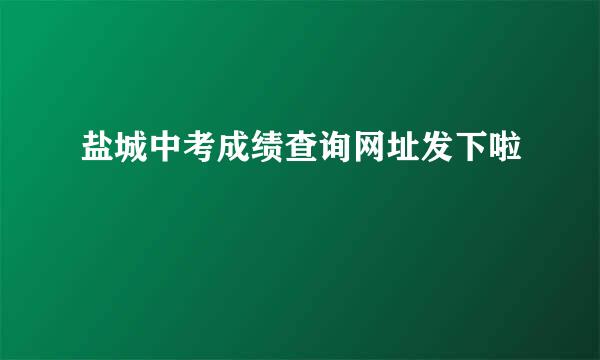 盐城中考成绩查询网址发下啦