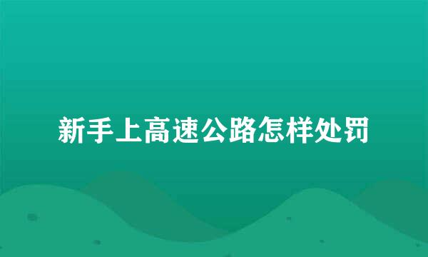 新手上高速公路怎样处罚