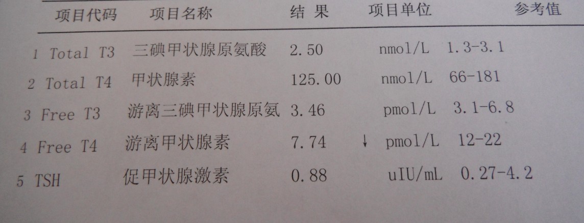 甲功五项的测定意义