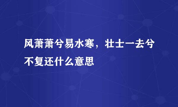 风萧萧兮易水寒，壮士一去兮不复还什么意思