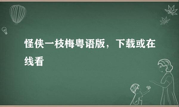 怪侠一枝梅粤语版，下载或在线看