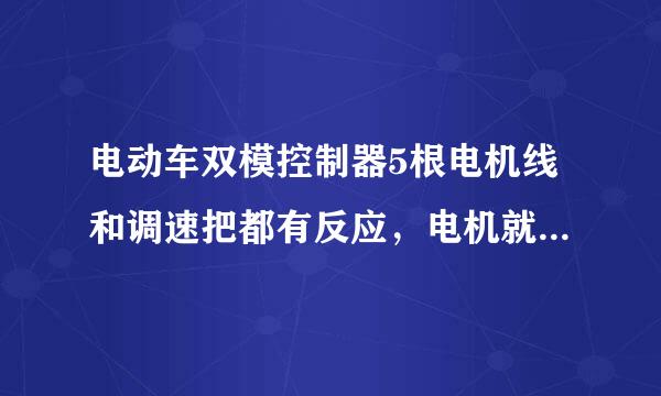 电动车双模控制器5根电机线和调速把都有反应，电机就是不转是不是电机坏了