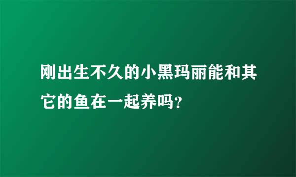 刚出生不久的小黑玛丽能和其它的鱼在一起养吗？