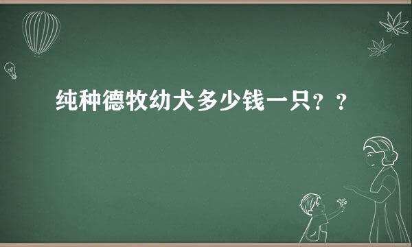 纯种德牧幼犬多少钱一只？？