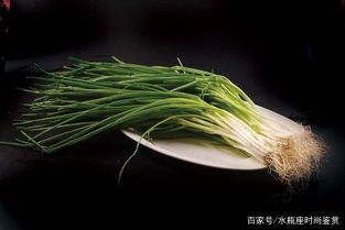 种植小香葱如何施肥？这样获得香葱高产？